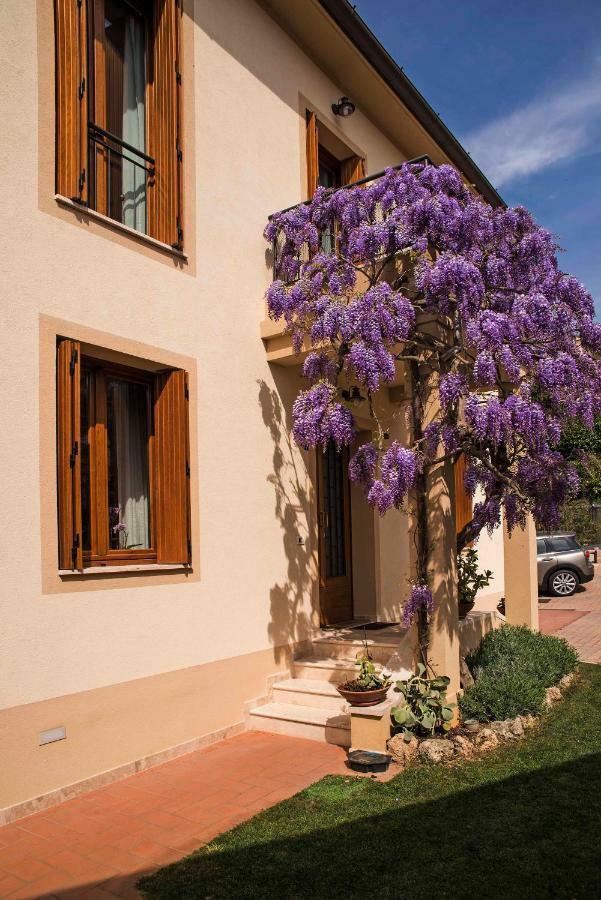 锡耶纳Casa Il Glicine A Due Passi Dal Centro公寓 外观 照片